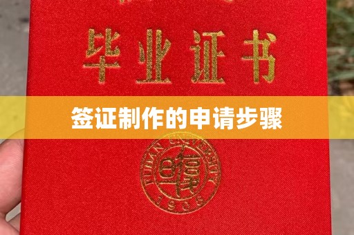 柳南签证制作的申请步骤