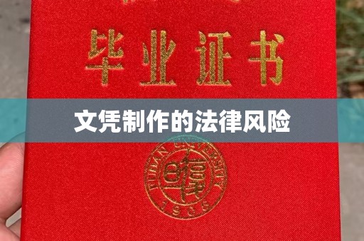 柳南文凭制作的法律风险