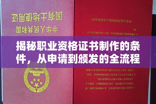 柳南揭秘职业资格证书制作的条件，从申请到颁发的全流程解析