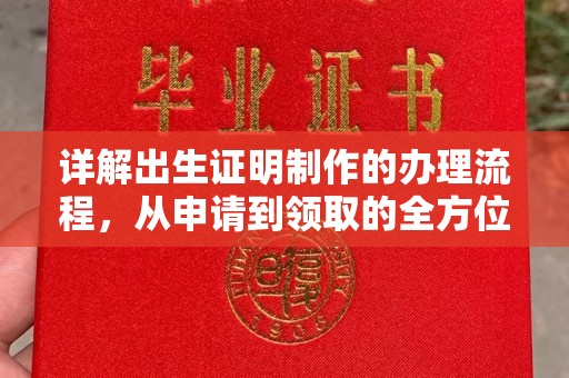 柳南详解出生证明制作的办理流程，从申请到领取的全方位指南