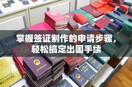 柳南掌握签证制作的申请步骤，轻松搞定出国手续