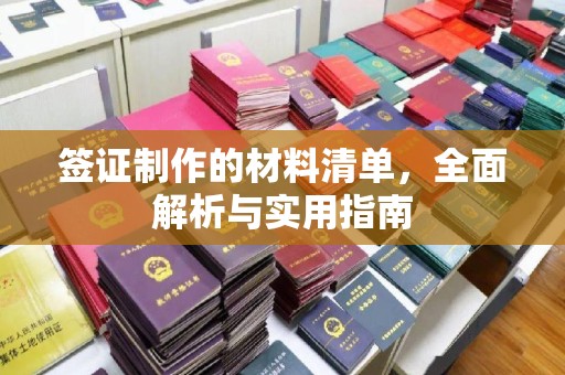 柳南签证制作的材料清单，全面解析与实用指南