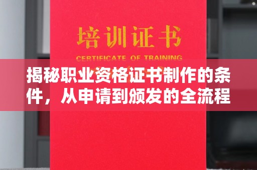 柳南揭秘职业资格证书制作的条件，从申请到颁发的全流程解析