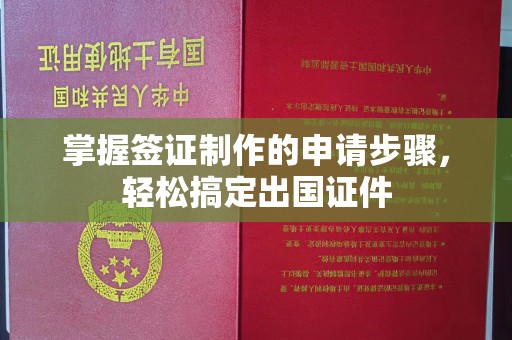 柳南掌握签证制作的申请步骤，轻松搞定出国证件