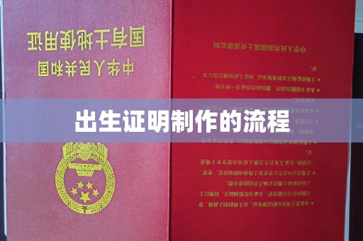 柳南出生证明制作的流程